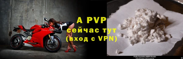 ECSTASY Елабуга