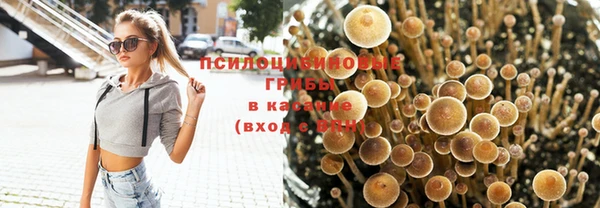 mix Елизово
