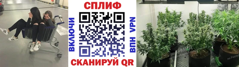 Канабис MAZAR  Змеиногорск 